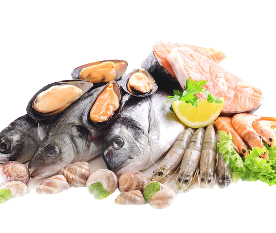 fresh food